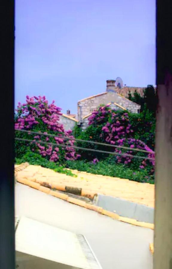Old Town Centar, Cozy And Quiet Modern Apartment 杜布罗夫尼克 外观 照片
